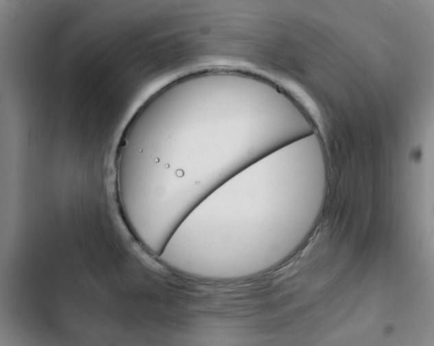X0000103271287200808291058