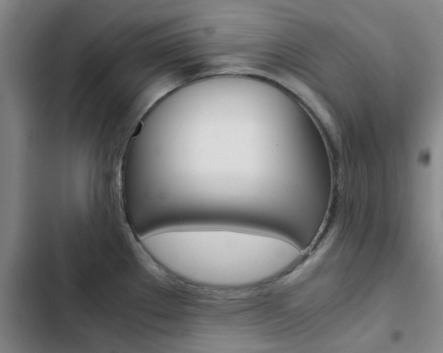 X0000103271289200808291058