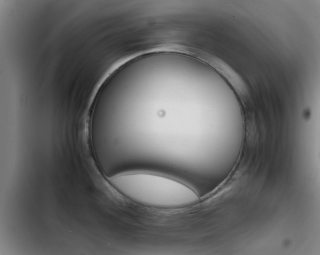 X0000103271292200808291058