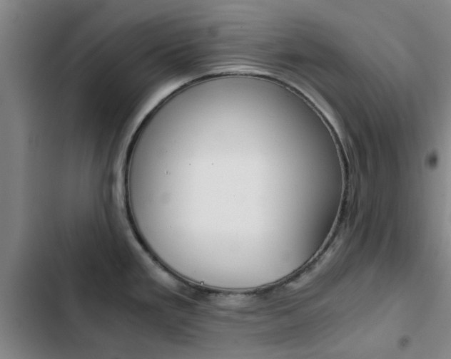 X0000103271293200808291058