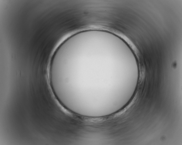 X0000103271294200808291058