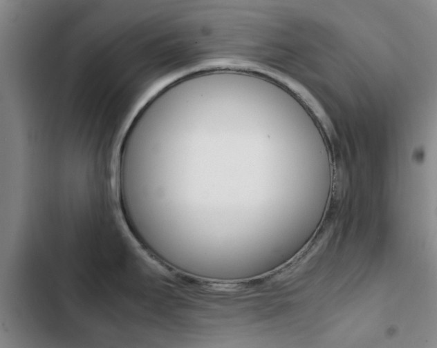 X0000103271295200808291058