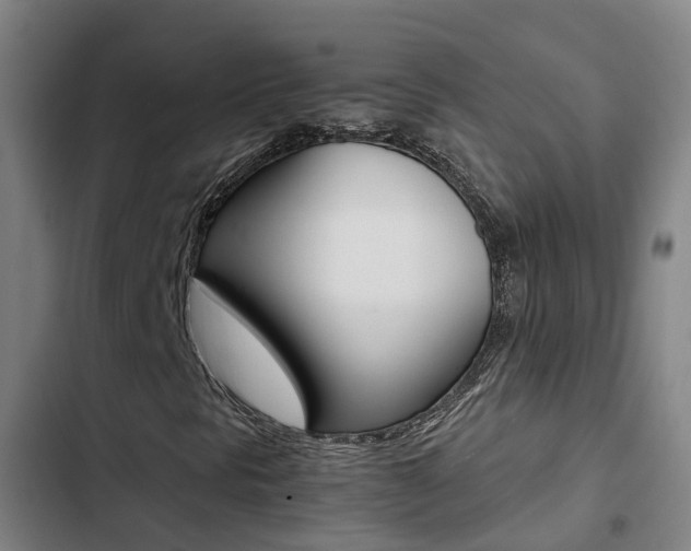 X0000103271297200808291057