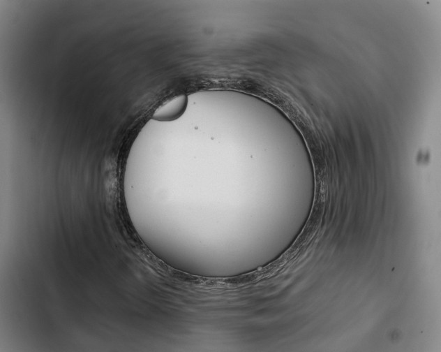 X0000103271298200808291057