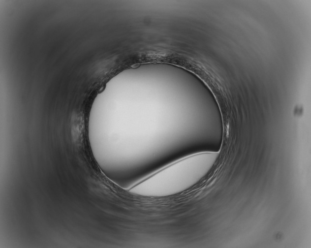 X0000103271299200808291057
