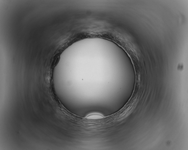 X0000103271300200808291057