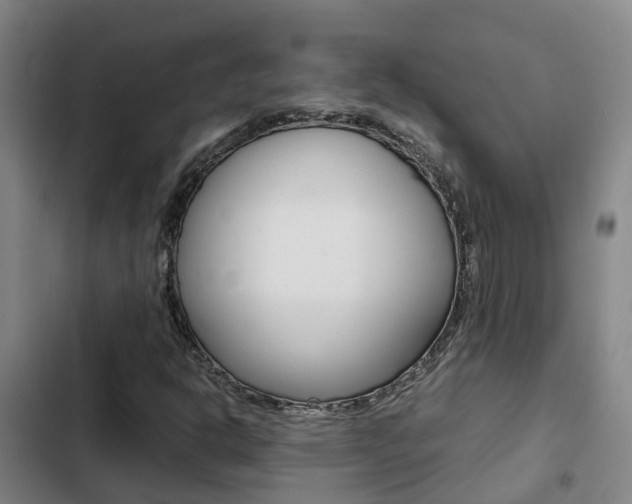 X0000103271302200808291057