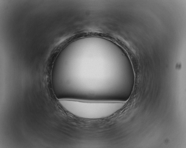 X0000103271303200808291057