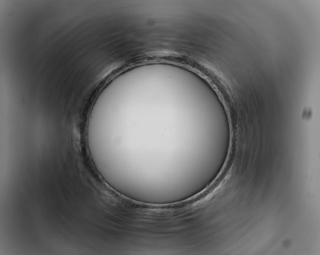 X0000103271305200808291057