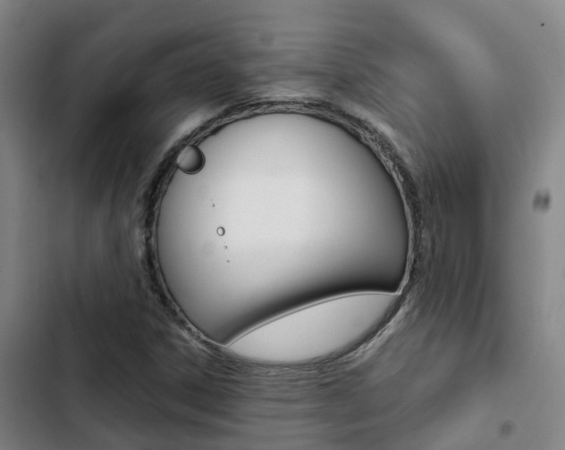 X0000103271306200808291057