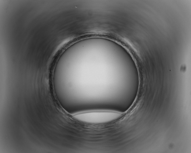 X0000103271307200808291057