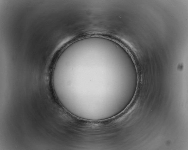 X0000103271309200808291057