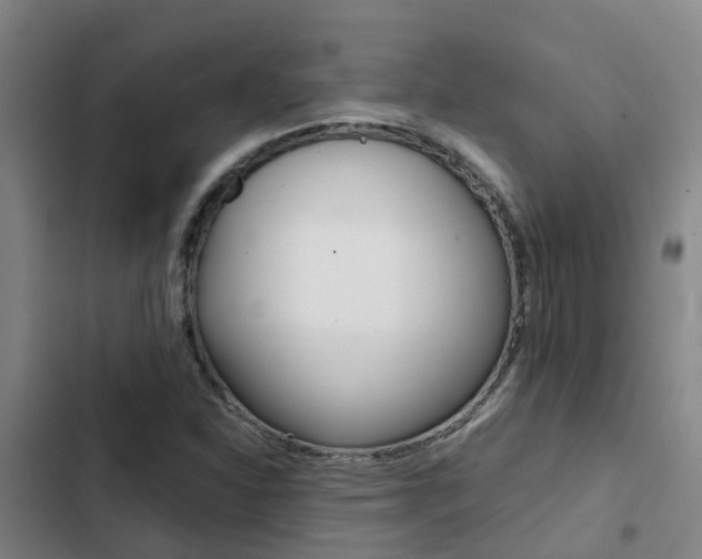 X0000103271310200808291057