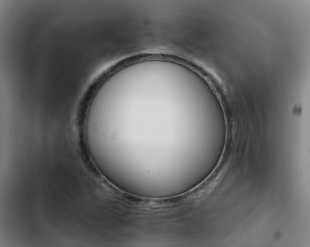 X0000103271311200808291057