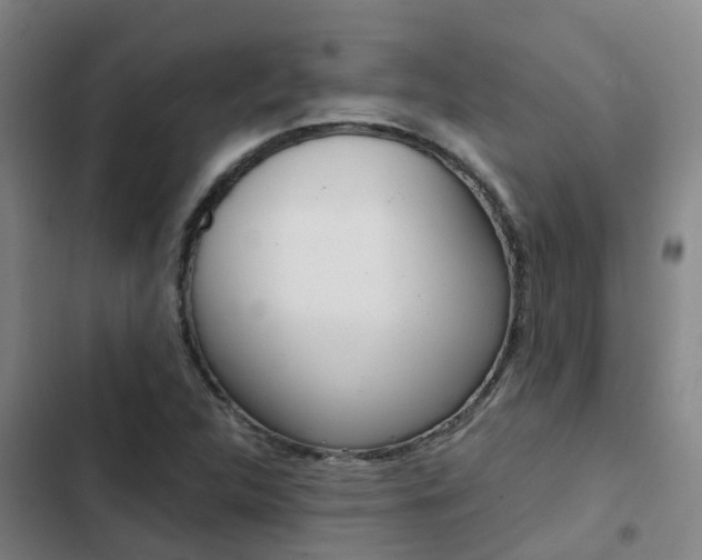 X0000103271312200808291057