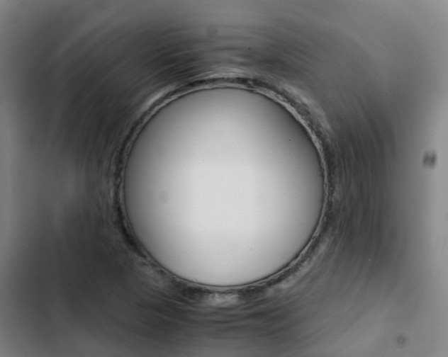 X0000103271313200808291057