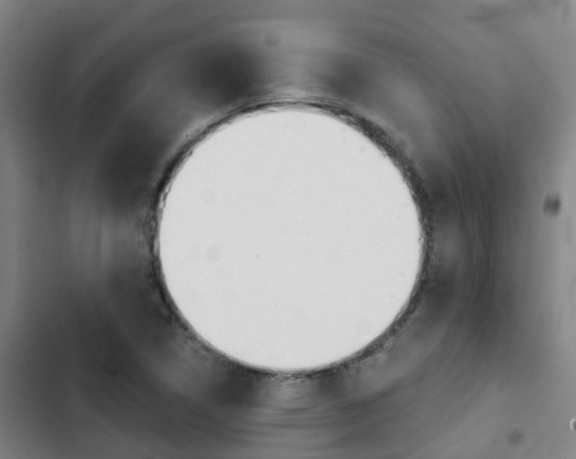 X0000103271314200808291057