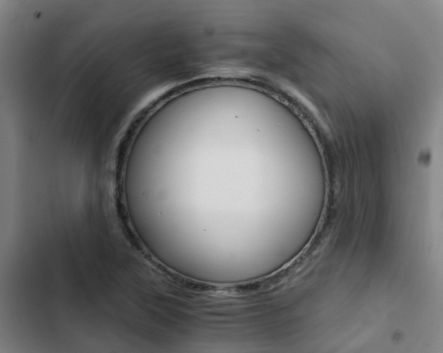 X0000103271315200808291057
