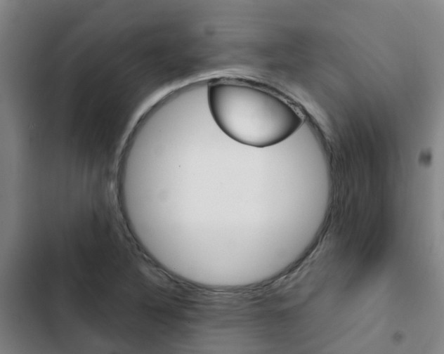 X0000103271316200808291057