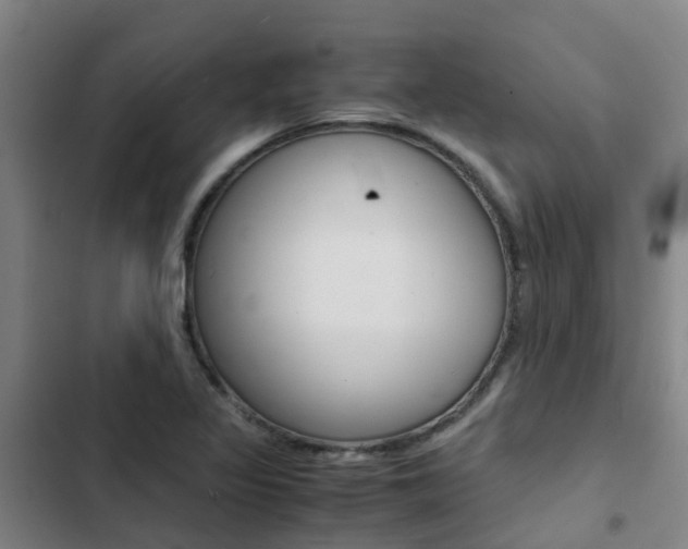 X0000103271317200808291057