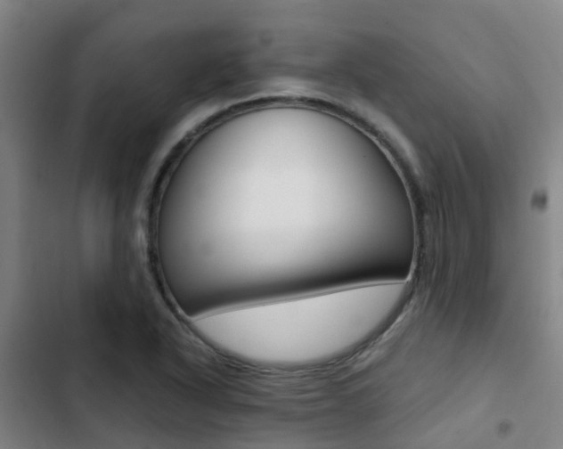 X0000103271318200808291057