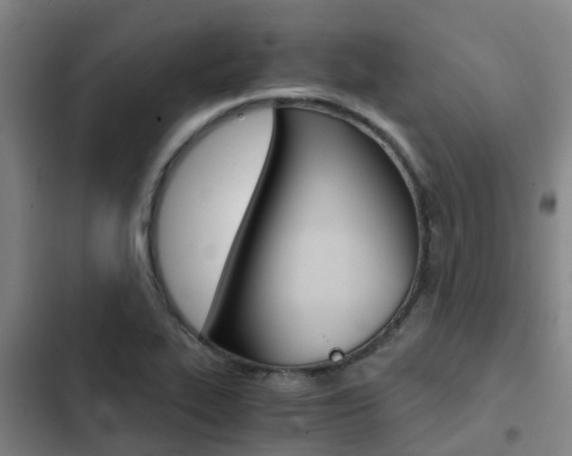 X0000103271319200808291057