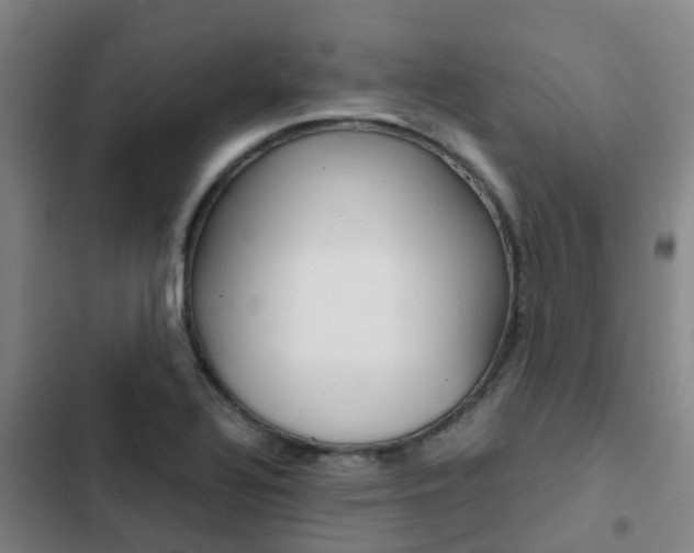 X0000103271320200808291057