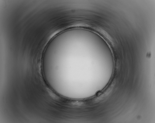 X0000103271321200808291057