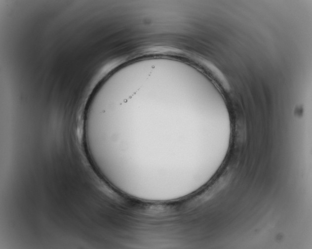 X0000103271322200808291057