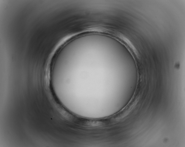 X0000103271323200808291057