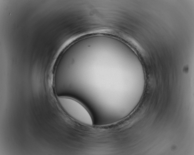 X0000103271324200808291057