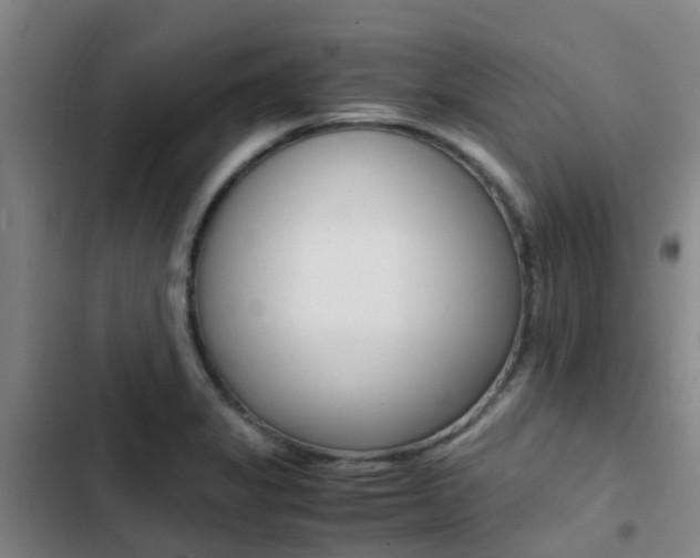X0000103271325200808291057