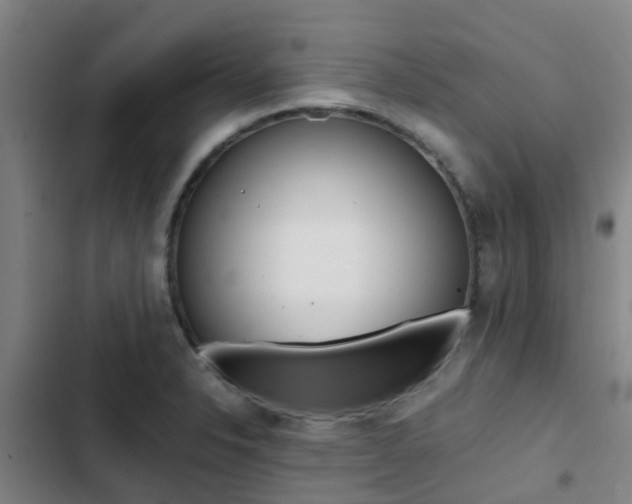 X0000103271326200808291057