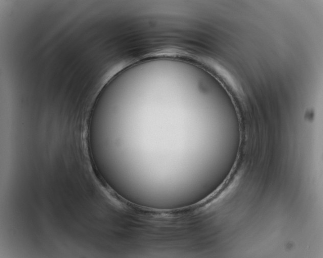 X0000103271329200808291057