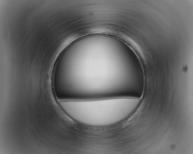 X0000103271330200808291058
