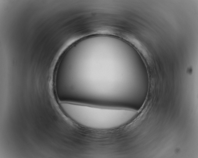 X0000103271331200808291058