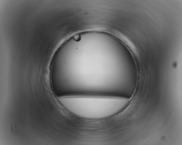X0000103271332200808291058