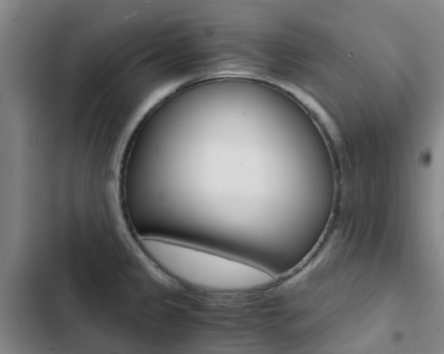 X0000103271333200808291058