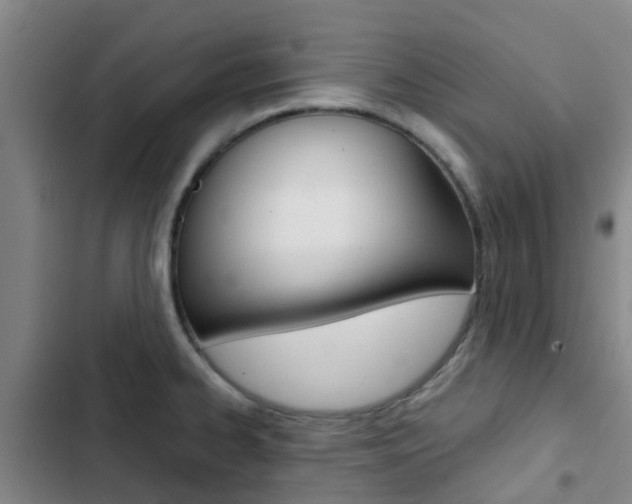 X0000103271334200808291058