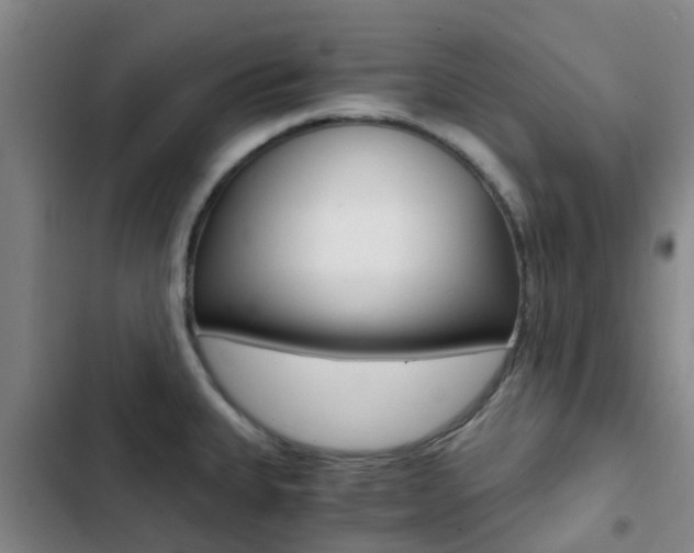 X0000103271335200808291058