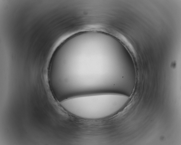 X0000103271336200808291058