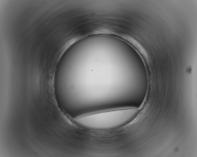 X0000103271337200808291058