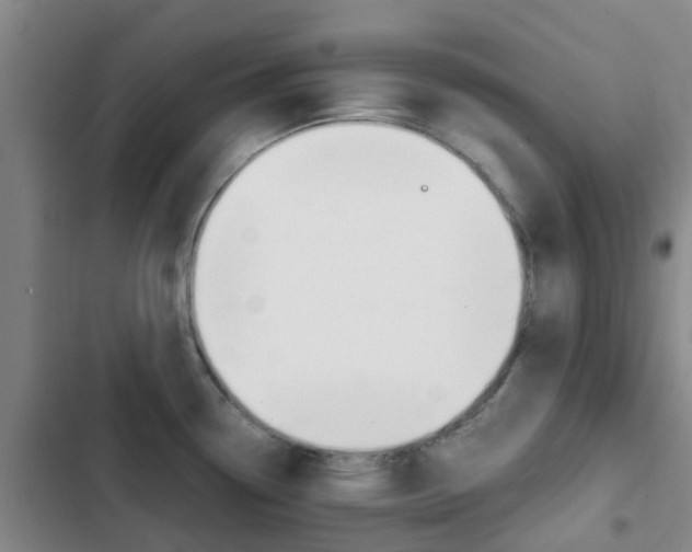X0000103271338200808291058