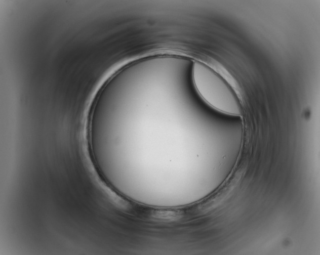 X0000103271339200808291058