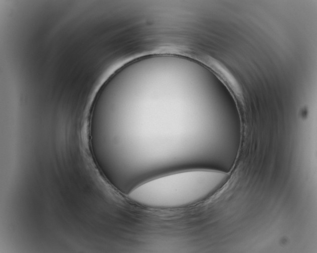 X0000103271340200808291058