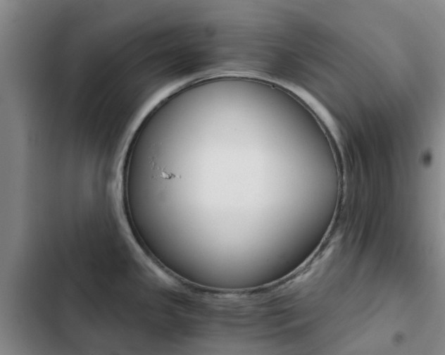 X0000103271341200808291058