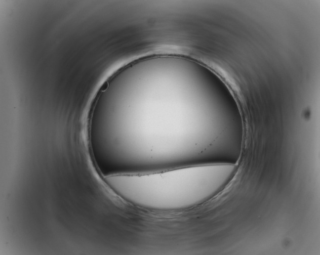 X0000103271342200808291058