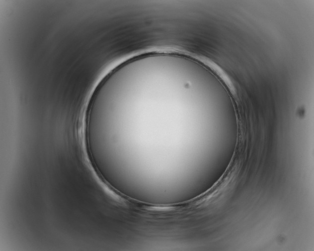X0000103271343200808291058