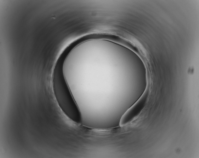 X0000103271344200808291058