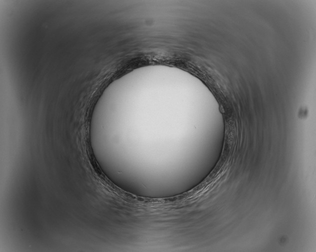 X0000103271345200808291057